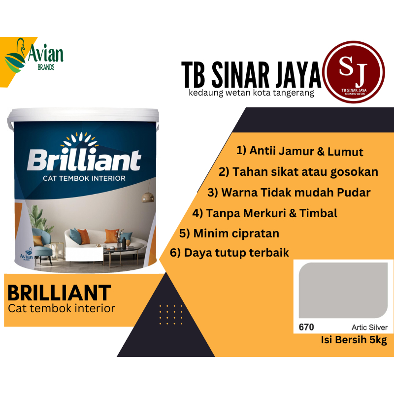 Brilliant Cat Tembok Interior Tembok Rumah Isi 5kg - 670 Artic Silver
