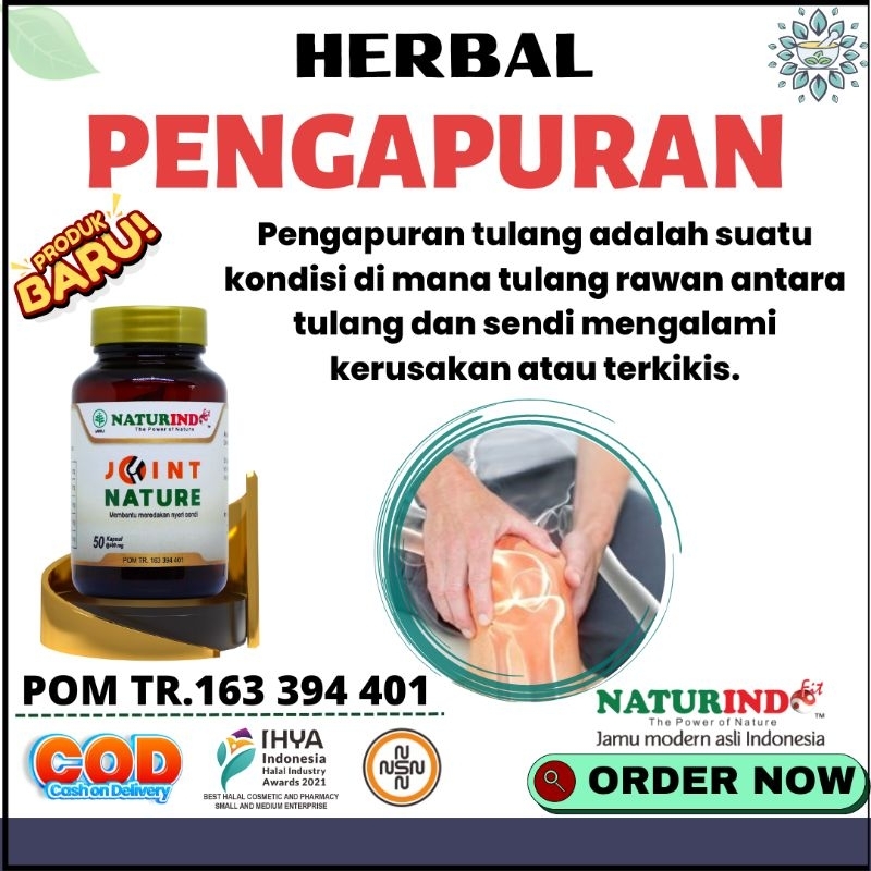 Obat Pengapuran Tulang Nyeri Sendi Lutut Osteoporosis Tulang Keropos Radang Sendi Pegal Linu Lutut K