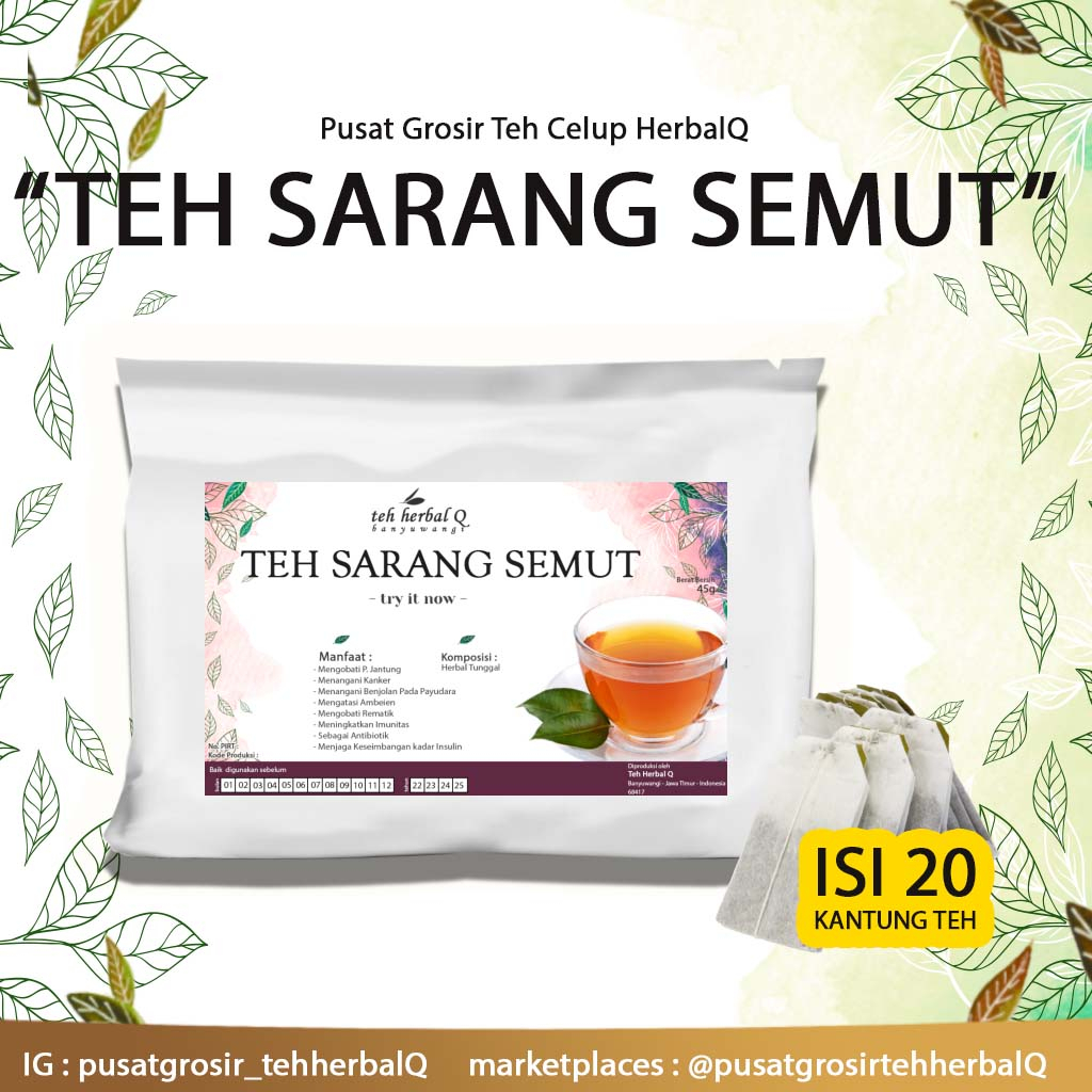 

Teh Celup Herbal Sarang Semut | Mengatasi Jantung, Kanker, Rematik,dll