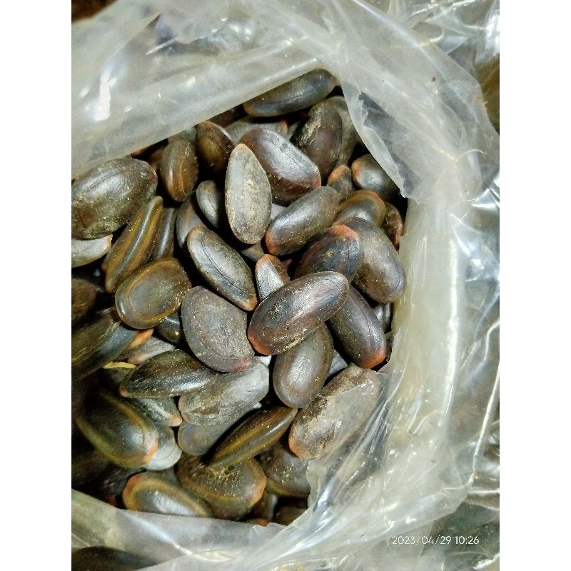 

Biji Kedawung - Kedaung 100 gr