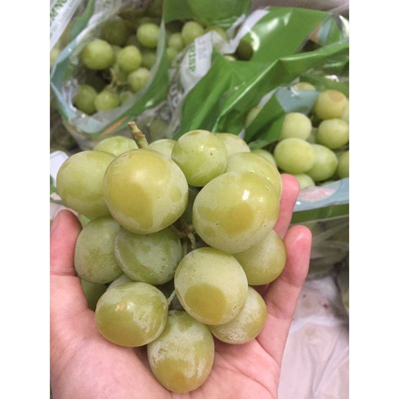 

ANGGUR GREEN AUTUMNCRISP