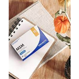 MSM YAMAMOTO 60 capsul yamamoto nutrition