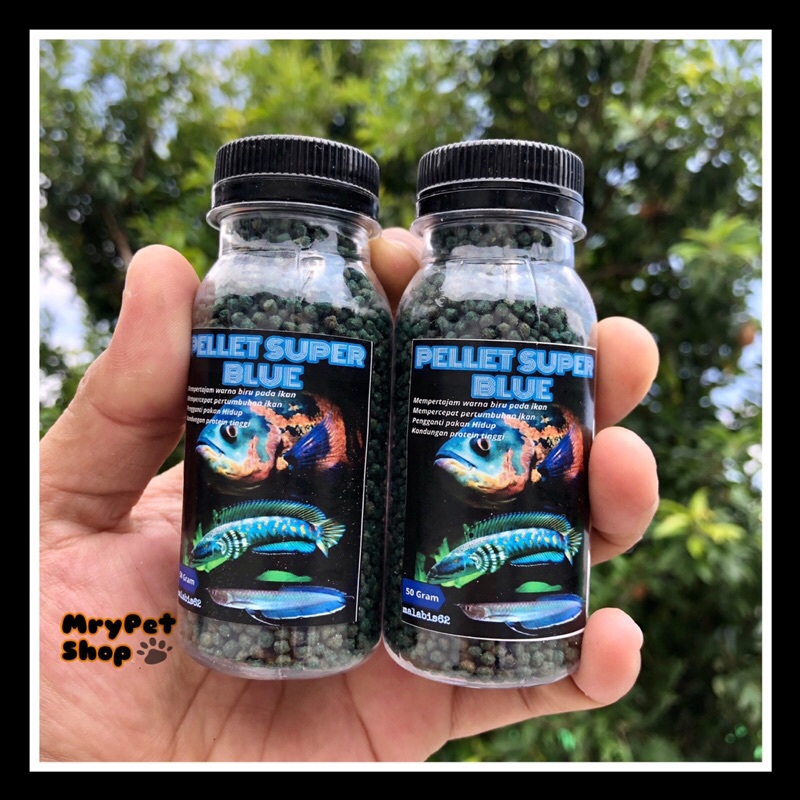 Pellet Super Blue Pakan Warna Ikan Predator