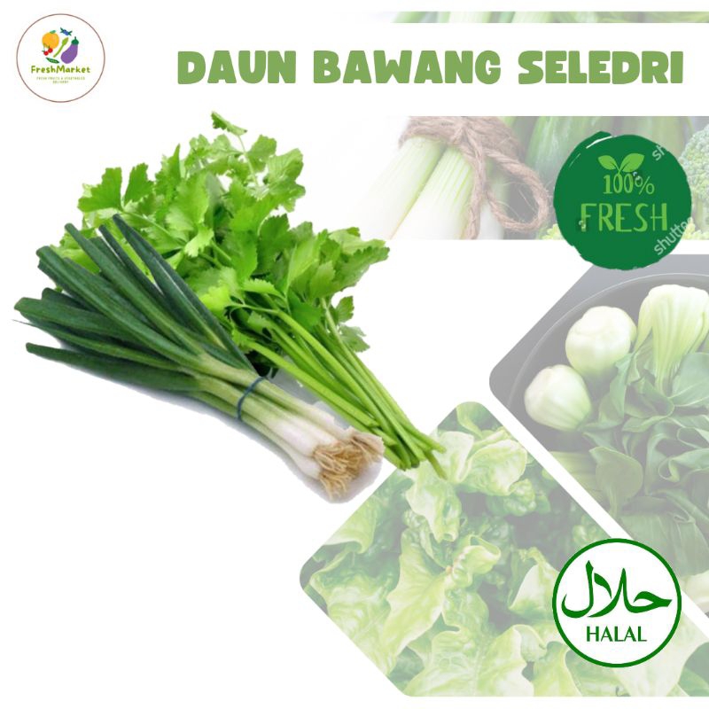 

Daun Bawang Daun Sop Seledri Segar 1 Ikat Freshmarketlampung