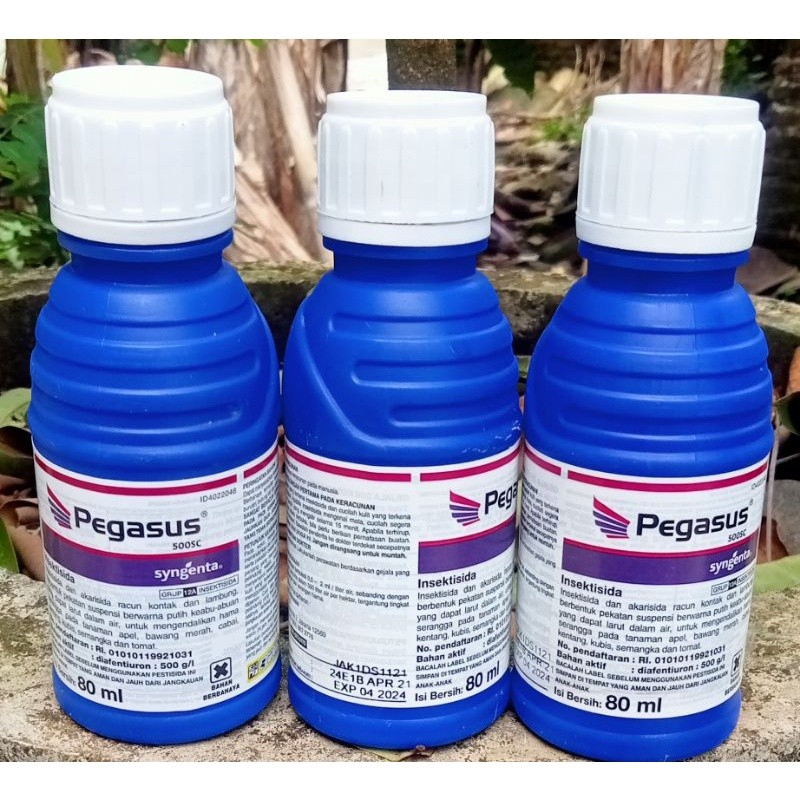 pegasus insektisida 80ml