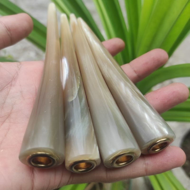 Once Pipa Roko Tanduk Kerbau Bule