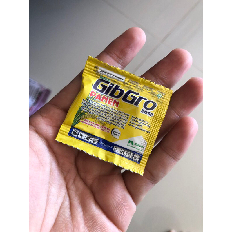 gibgro panen 20sp
