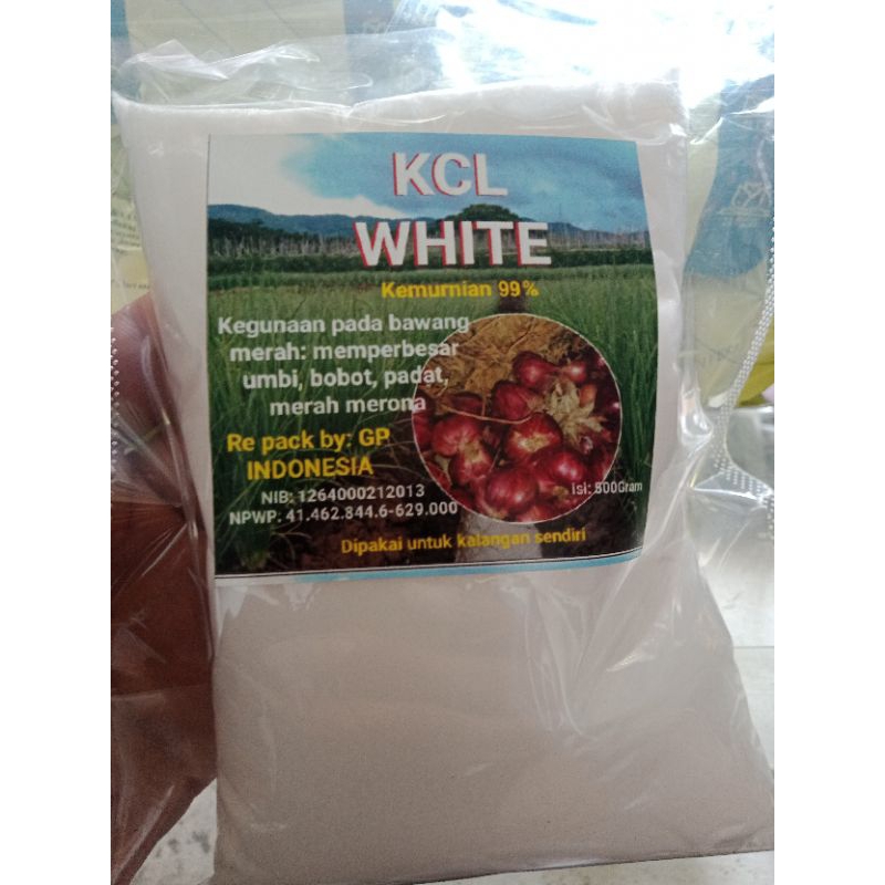 KCL WHITE murni kandungan 99% pupuk kalium terbaik import bisa buat selingi gandasil k14 kalium sili