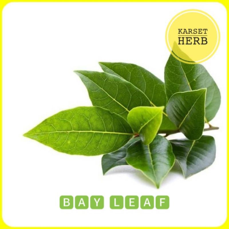 

Daun salam segar 100gram