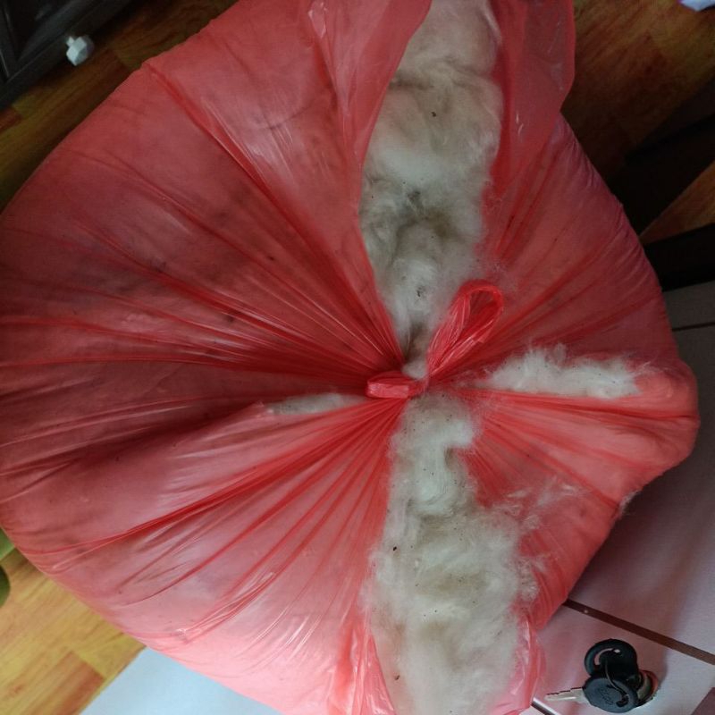 kapuk isian kapuk perkilo