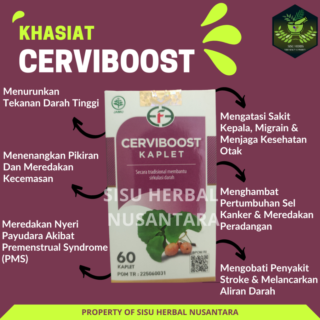 Kaplet Cerviboost Asli Herbal Terbaik Untuk Nutrisi Otak Secara Alami Cerfiboost Obat Herbal Migrain Sakit Kepala Vertigo ORIGINAL