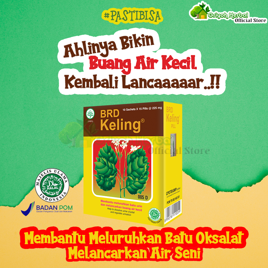 Obat herbal meluruhkan batu ginjal Keling 150 pil Borobudur - Halal BPOM Aman