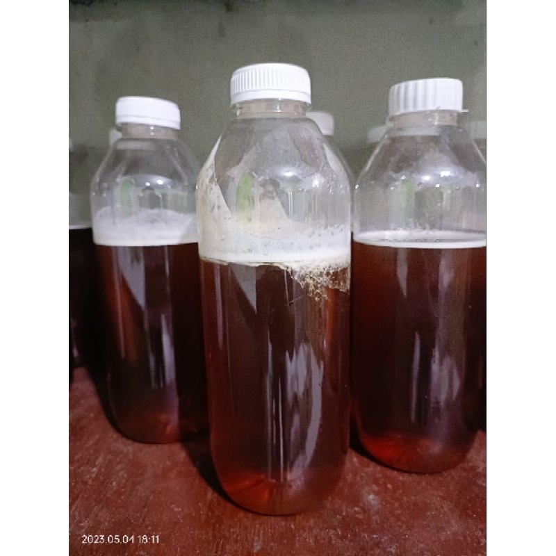 

Madu Asli Hutan Sialang Riau 1kg