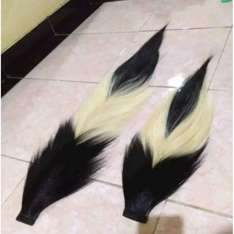 buntut/ ekor kuda_ jaranan