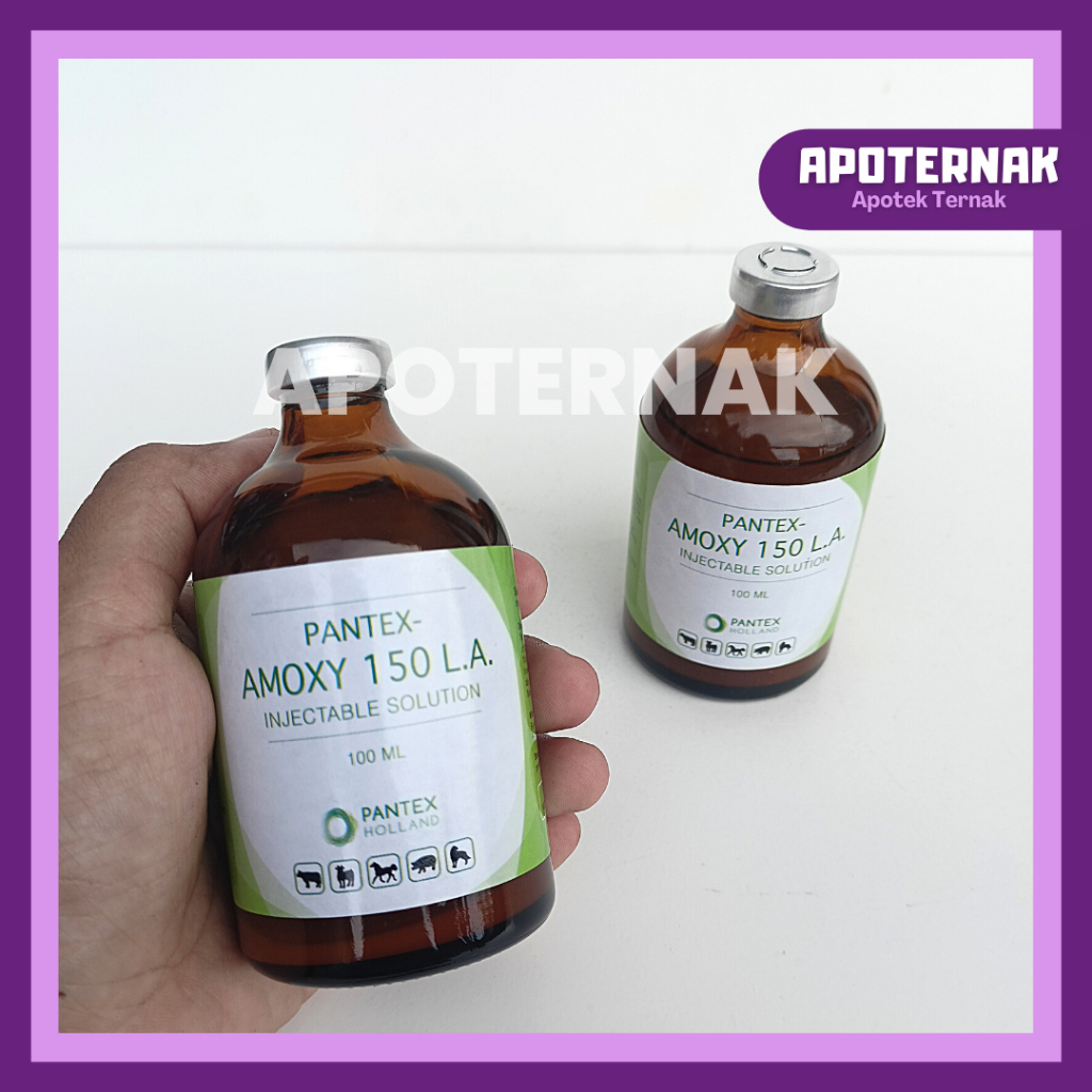 PANTEX AMOXY 150 LA | Obat Infeksi Hewan Long Acting | Like SK Amox LA Longamox Betamox Intramox | Pantex Holland | Apoternak