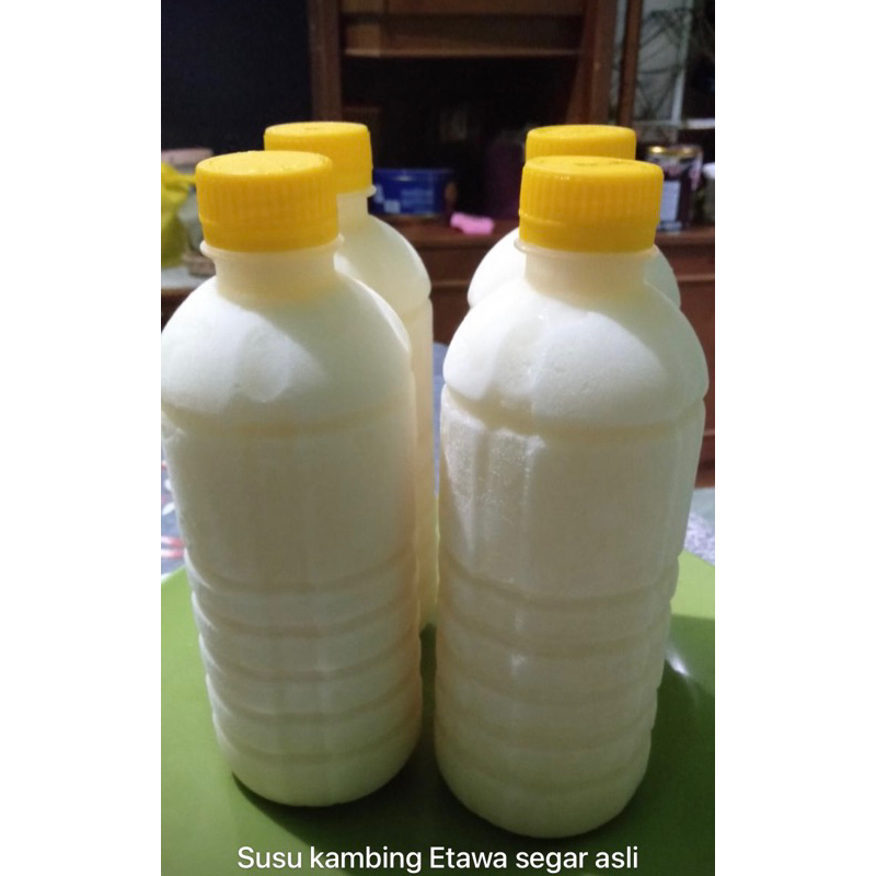 

SUSU KAMBING ETAWA ASLI MURNI FRESH 500ml/SUSU KAMBING FROZEN