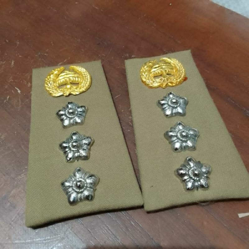 pangkat PDH camat/pangkat camat logo melati