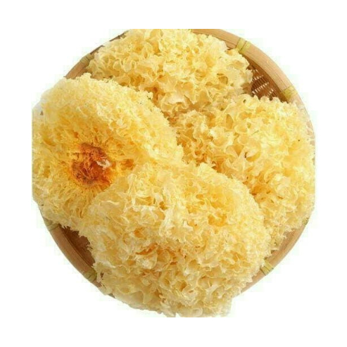 

Jamur Es/ Jamur Salju