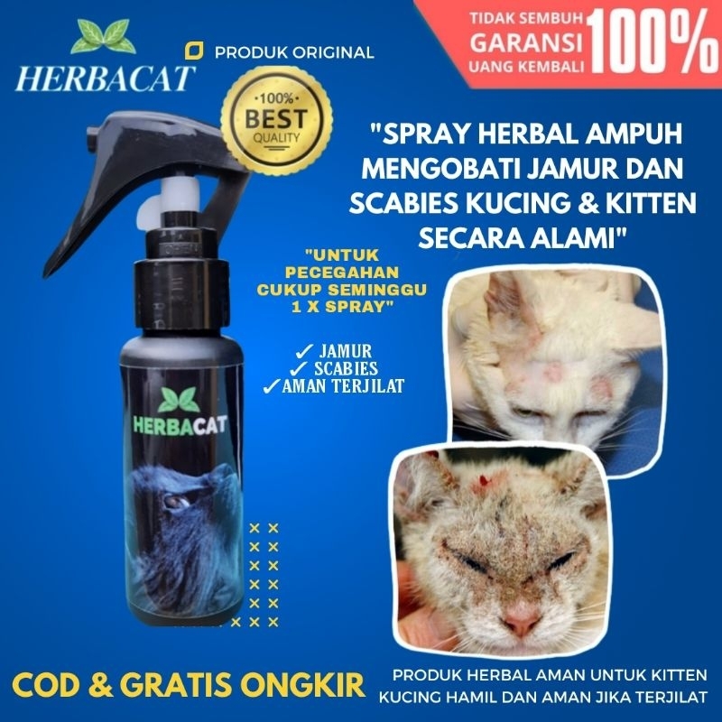 Spray Jamur Kucing Obat Jamur Scabies Kucing HerbaCat Alami Mengatasi dan mencegah Jamur Scabies Rin