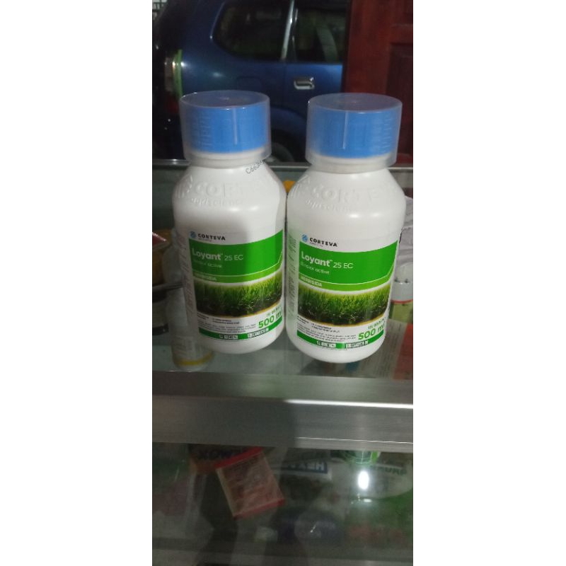 Herbisida Loyant 25 EC selektip untuk padi sawah