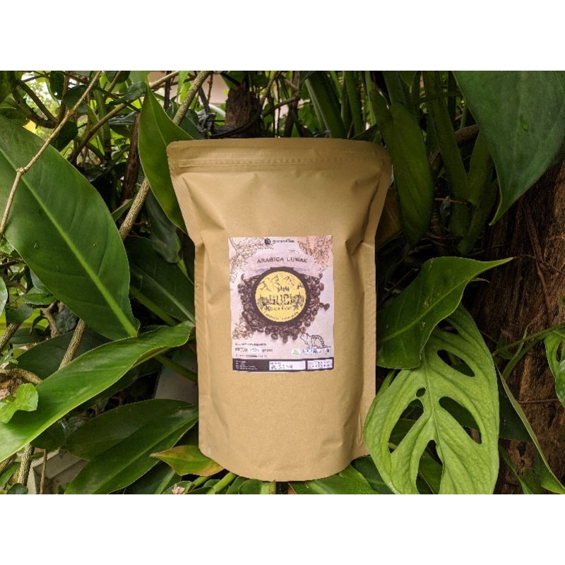 

Kopi Luwak Arabika Temanggung 100gr | Gucicoffee