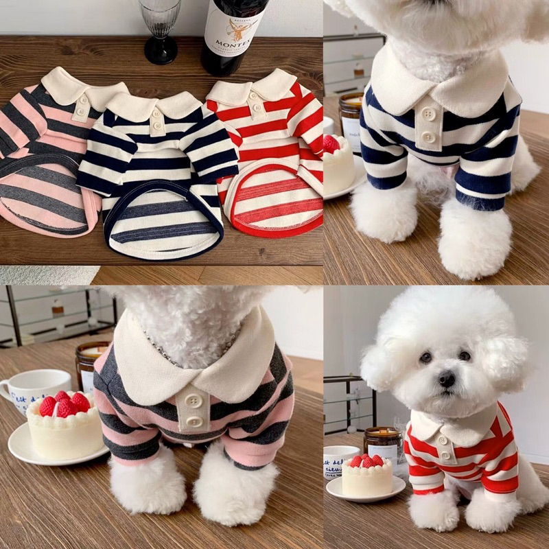 Dohee polo button stripe korea top