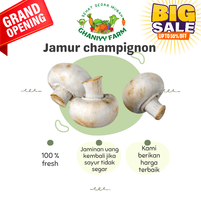 

Jamur Champignon 200 Gram