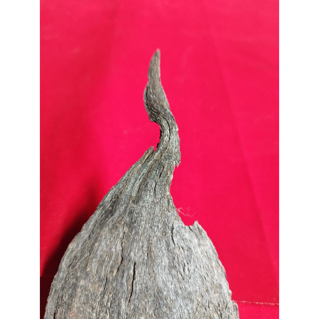 Pusaka Tbk Banyak/Angsa Angrem