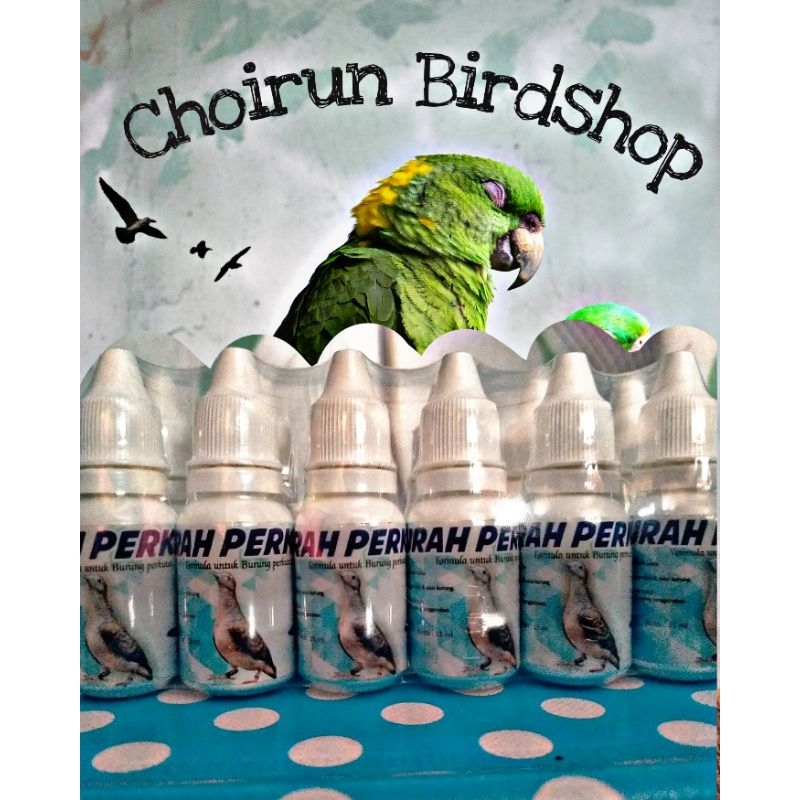 GURAH PERKUTUT Formula untuk burung perkutut