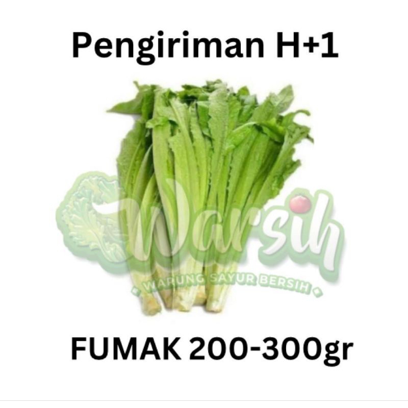 

WARSIH • FUMAK 200-300GR