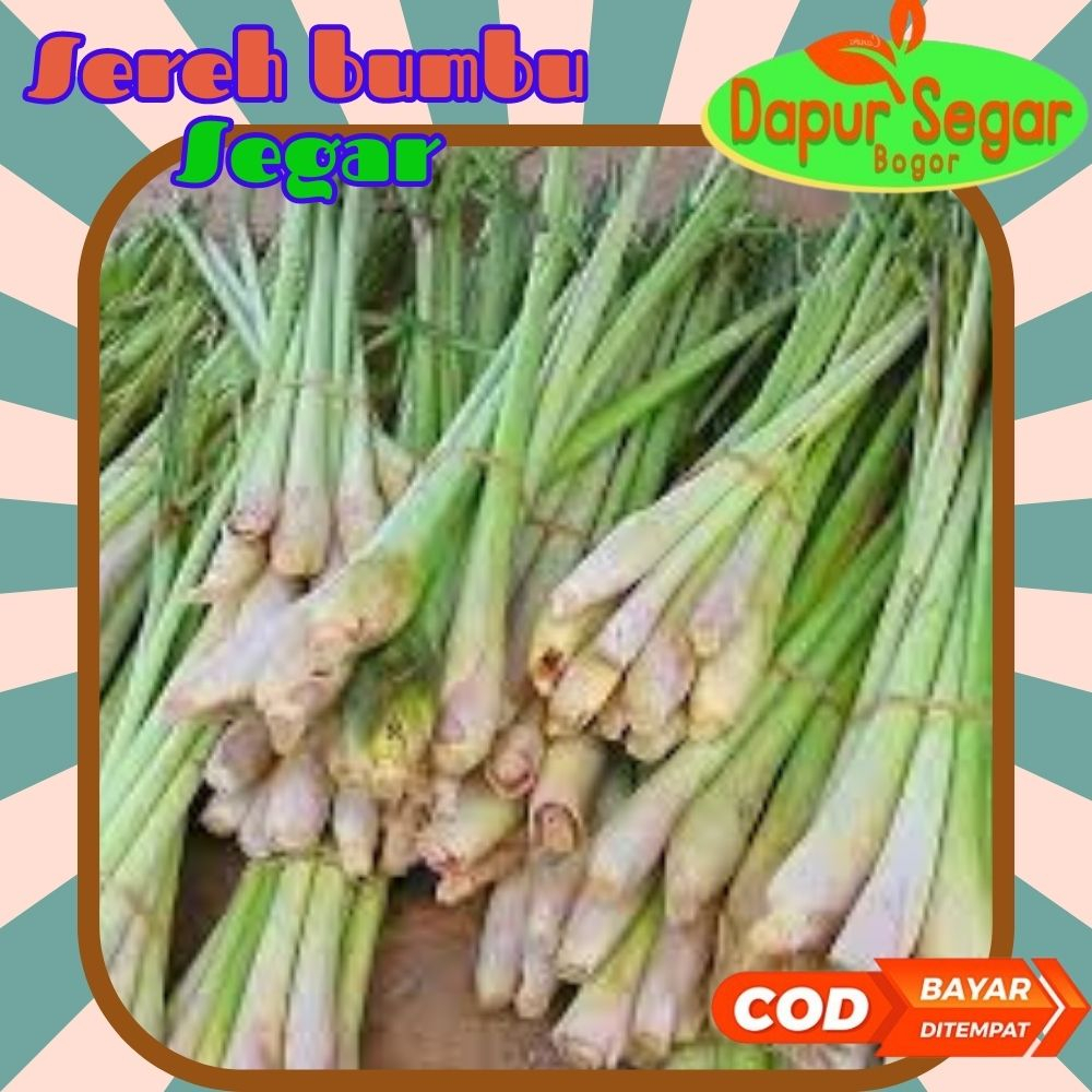 

Sereh Serai 1kg segar Bumbu Dapur