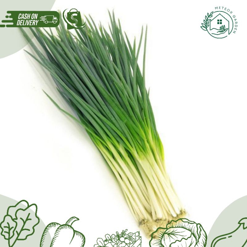 

DAUN BAWANG (Berat 100gr)