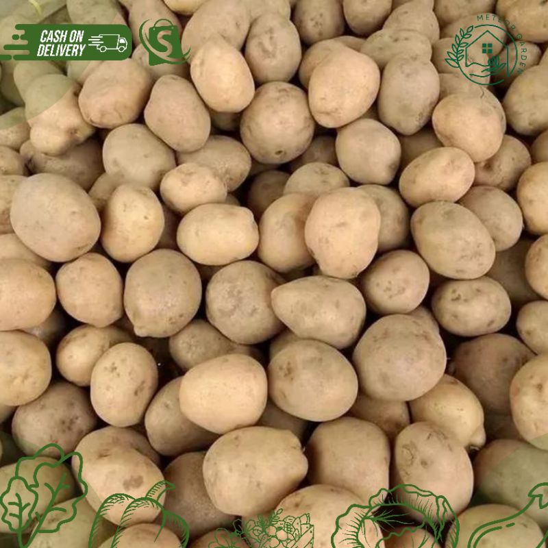 

KENTANG KECIL (Berat 500gr)