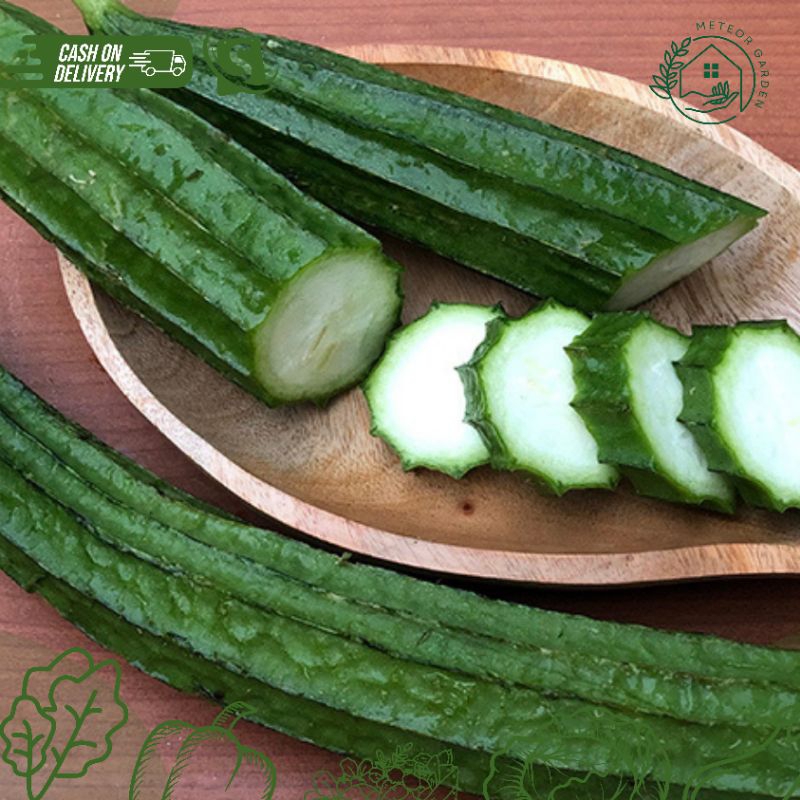 

GAMBAS / LANGKIR / OYONG (Berat 500gr)