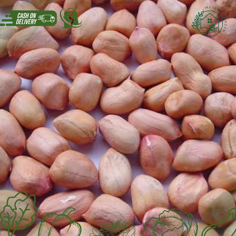 

KACANG TANAH KUPAS (500gr)