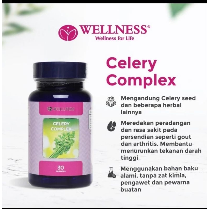 wellness celery complex 30 kapsul bantu menurunkan tekanan darah tinggi