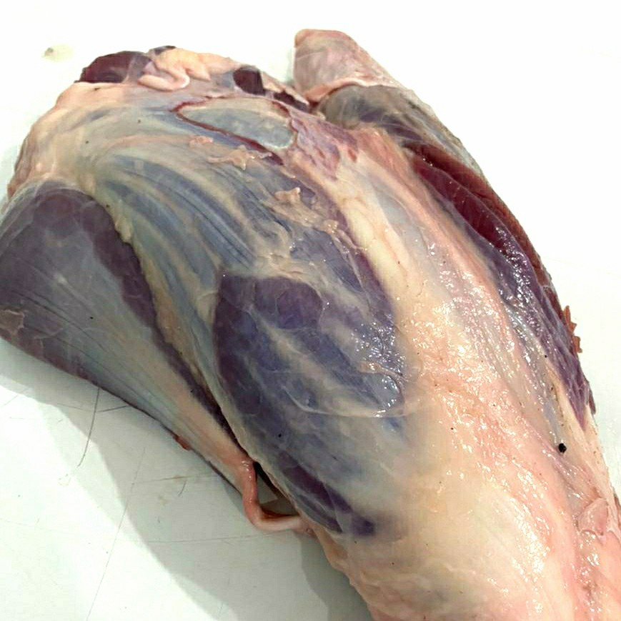 

Daging Sapi Sengkel 1/2kg - 1kg, Plastik PE