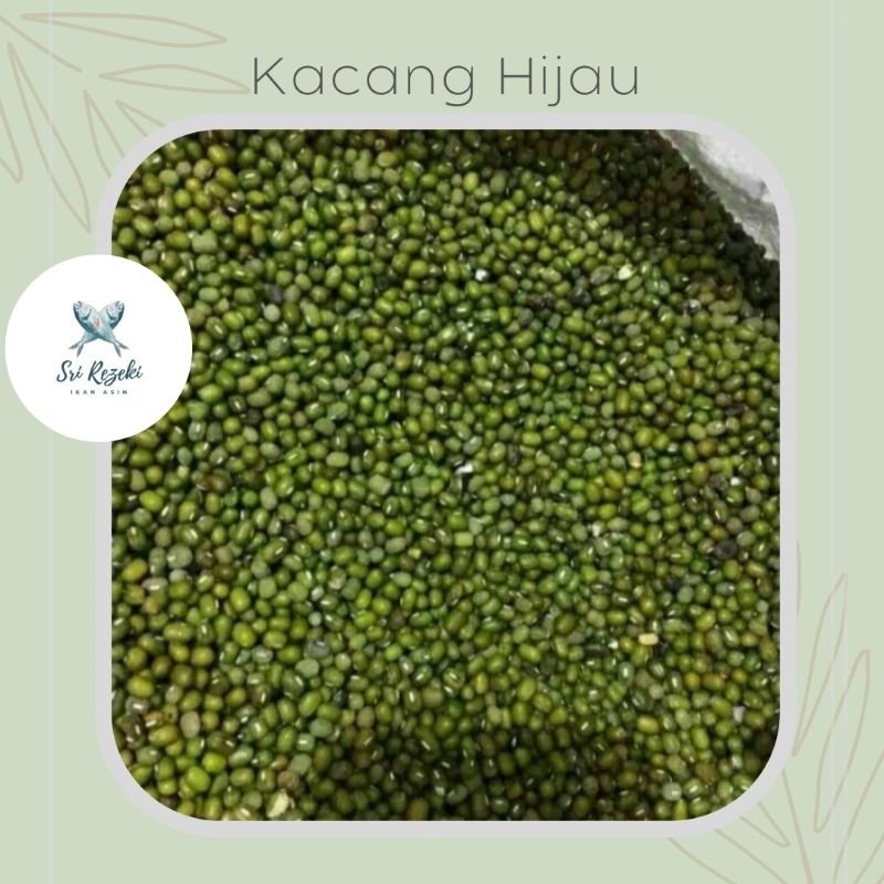 

TERMURAH | Kacang Hijau Mentah | Kualitas SUPER | 500 gr, 1kg