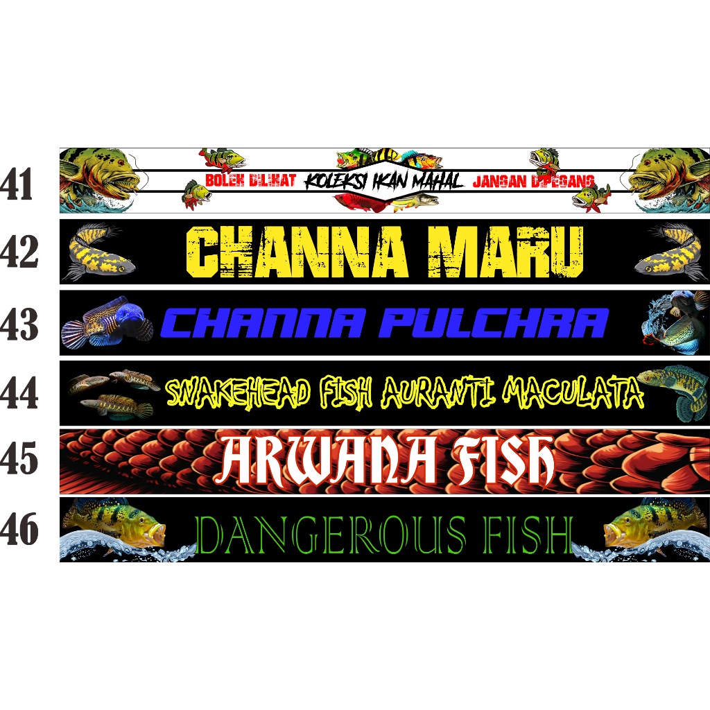 Stiker list depan aquarium kelompok 6