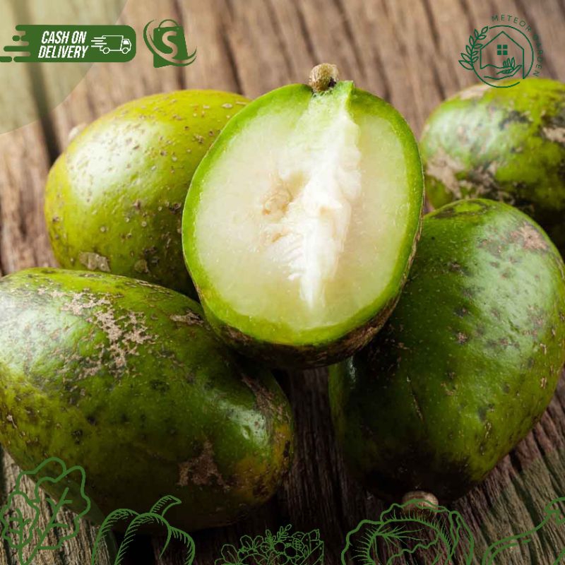 

KEDONDONG (Berat 1kg)