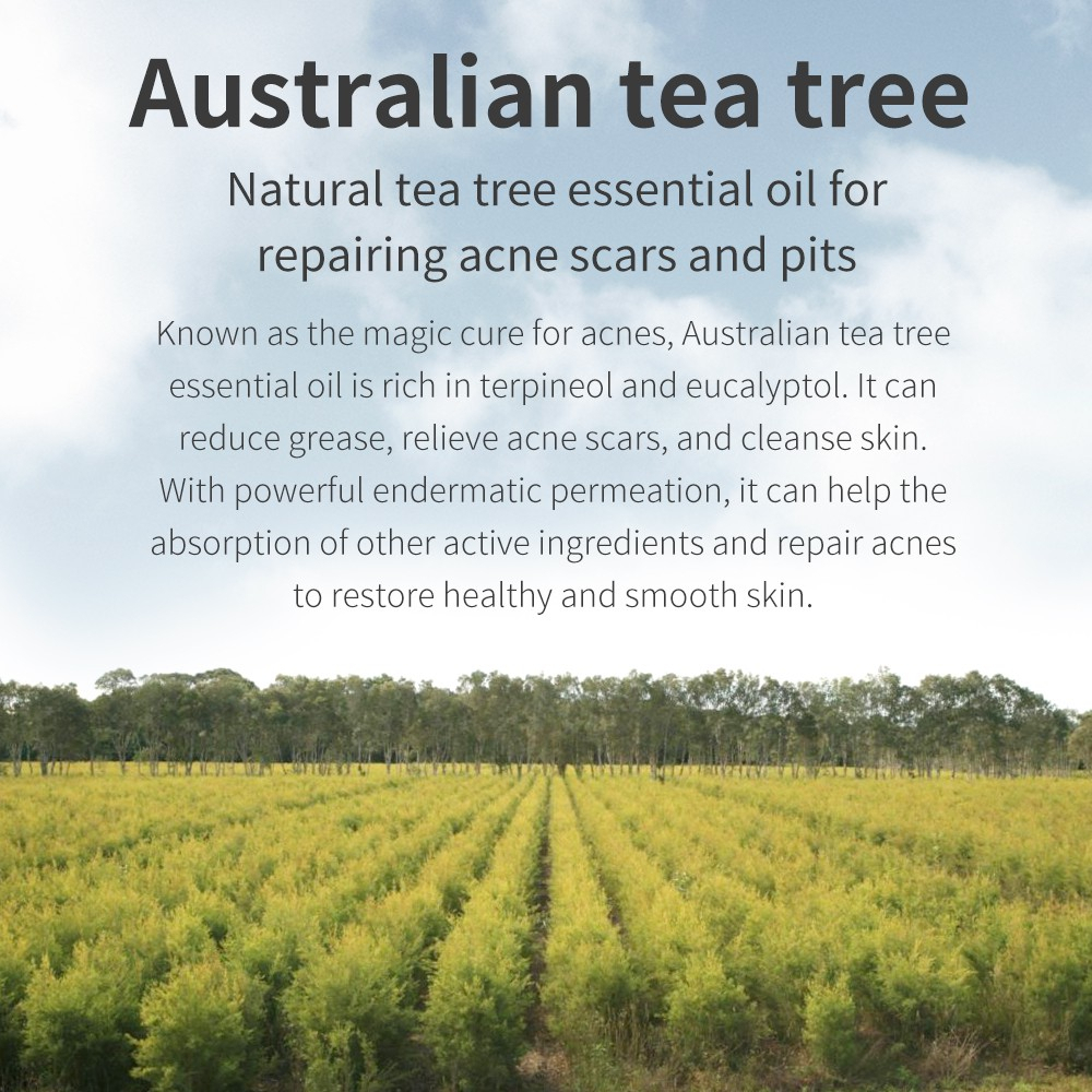 ✨ AKU MURAH ✨BREYLEE Tea Tree Acne Marks Gel / Gel Memudarkan Bekas Jerawat &amp; Memperbaiki Kulit Wajah