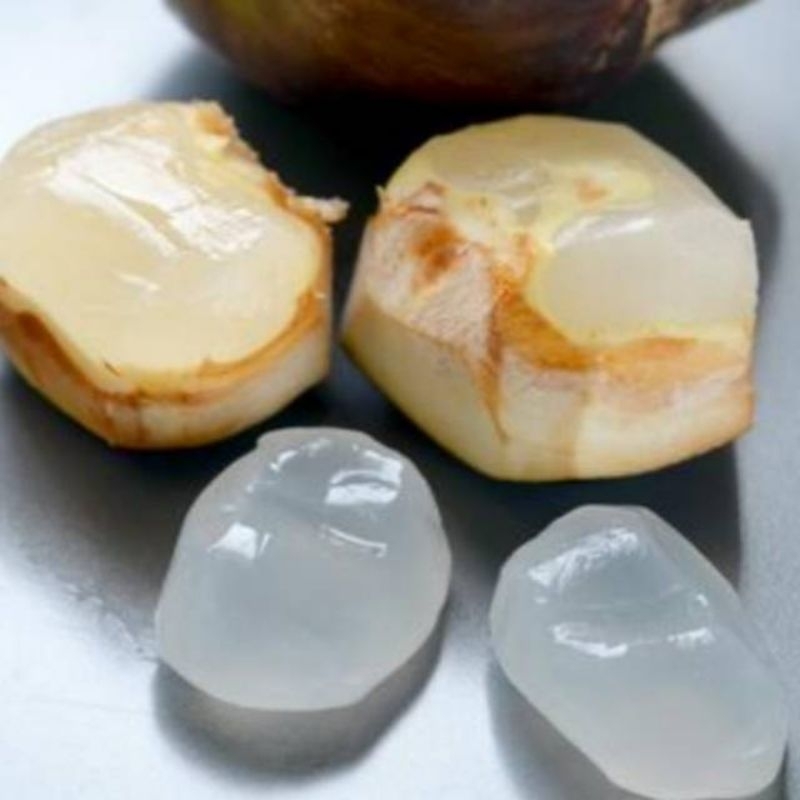 

Buah lontar per butir/bijian