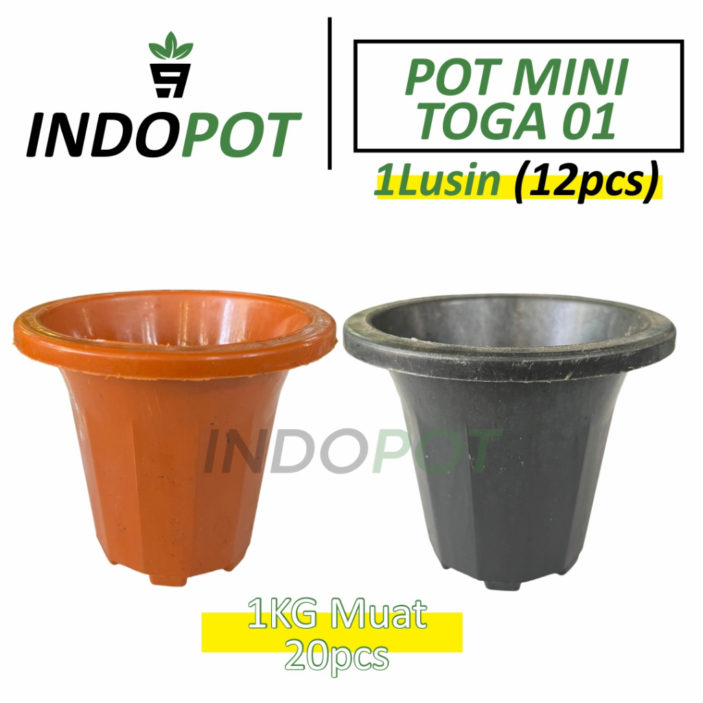 (12Pcs) Pot MIni Lucu Toga 01 Pot Bunga Tanaman Hias Dalam Ruangan Aestetic