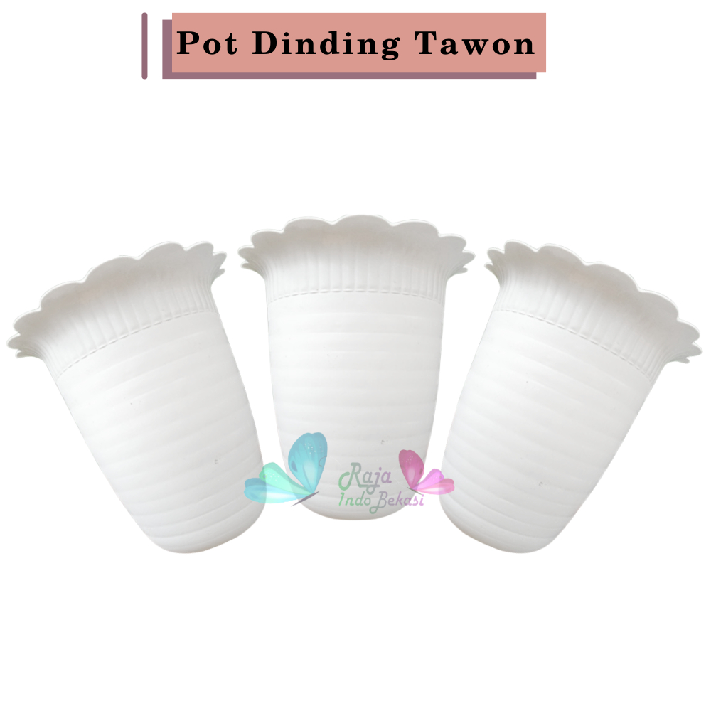 Pot Dinding Putih 15 Cm New Tawon Dinding Tempel 15CM Bibit Bunga Putih | Ombak Pot Dinding Kerang