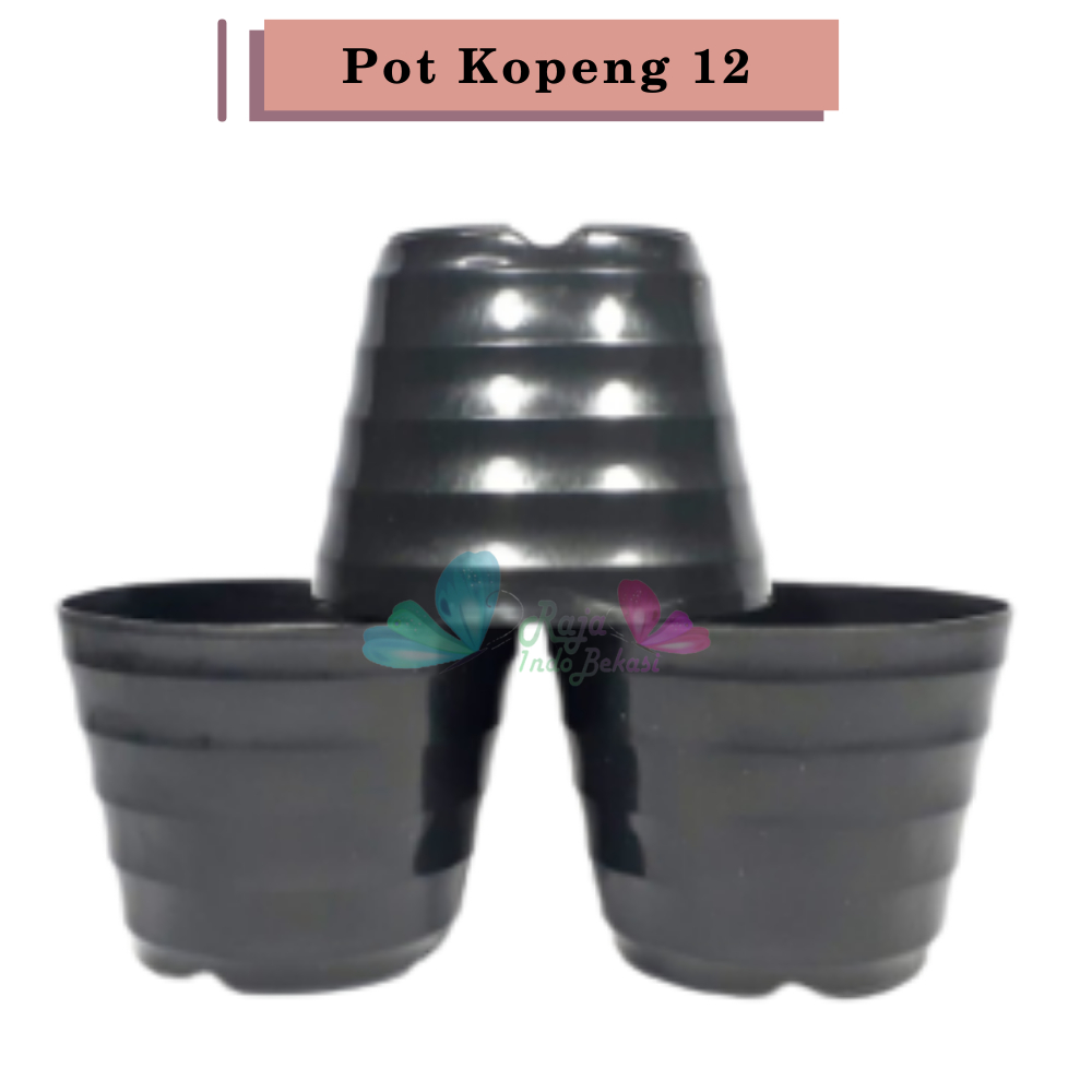 Pot Bunga Kopeng 12 Hitam By Garden Of Love Pot Plastik Mini Kaktus Murah Lucu Mirip Pot Tawon 12