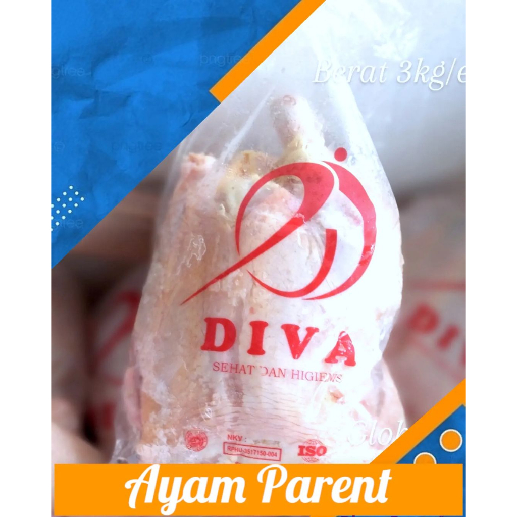 

Ayam Parent Berkualitas Berat 3kg up Merek Diva (Jual per 3kg)