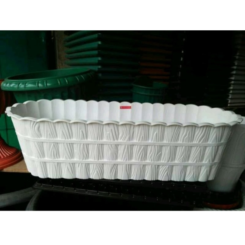 Baymarkeet Paket + Pot, Lee Kwan Yew 5 Polybag Panjang 50-60 Cm, + Pot Panjang Hitam 50 Cm, Putih