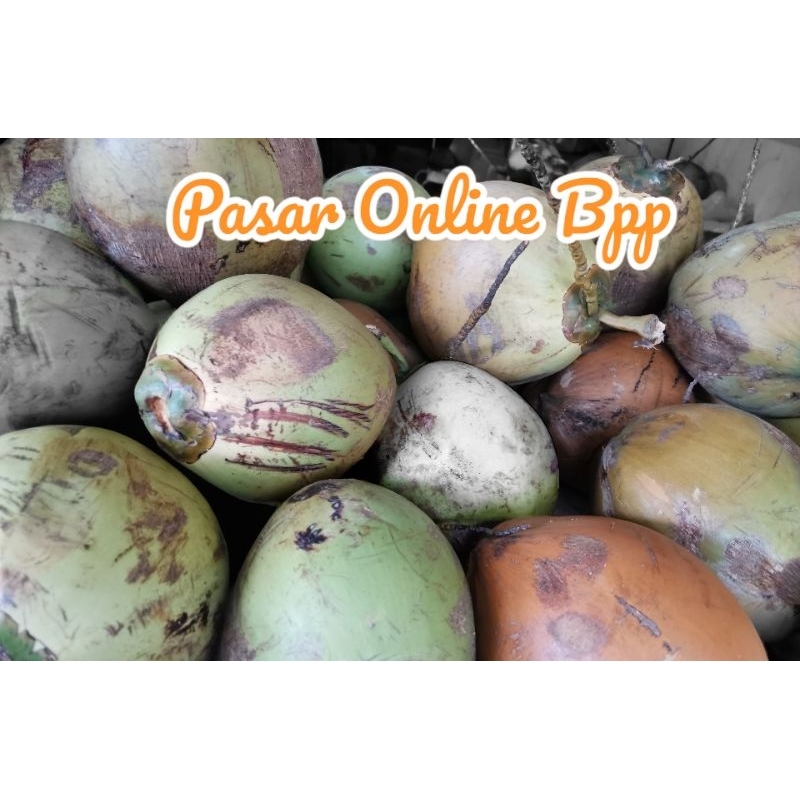 

KELAPA MUDAH