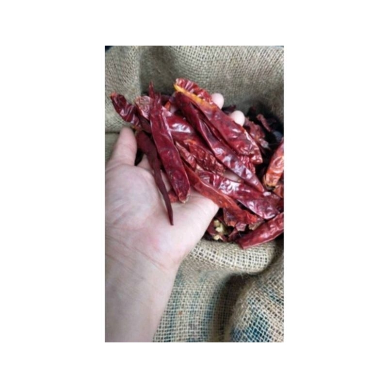 

CABE KERING SAMBEL SEBLAK TERMURAH