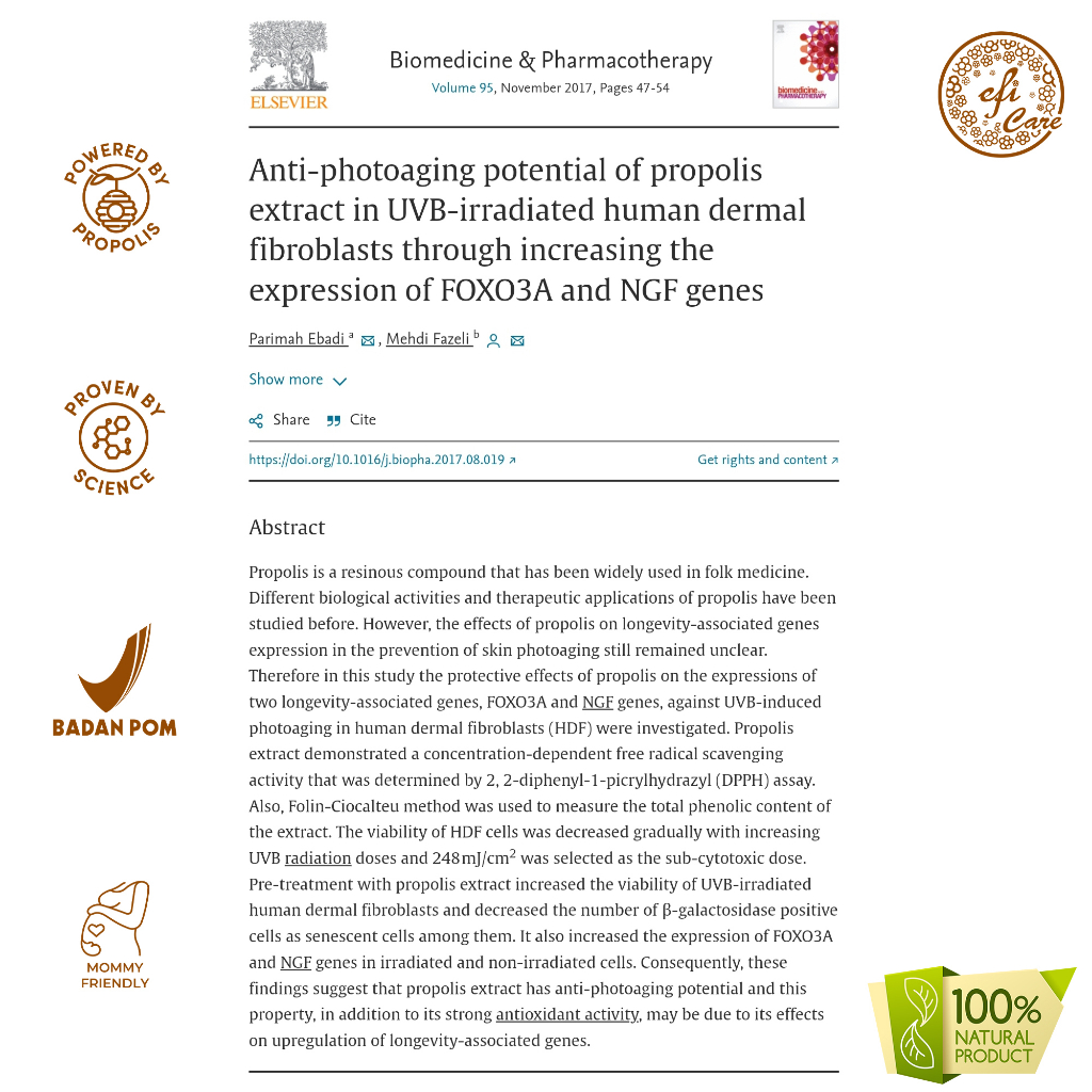 ✅ Propolis Natural Anti Aging Cream By Kebun Efi